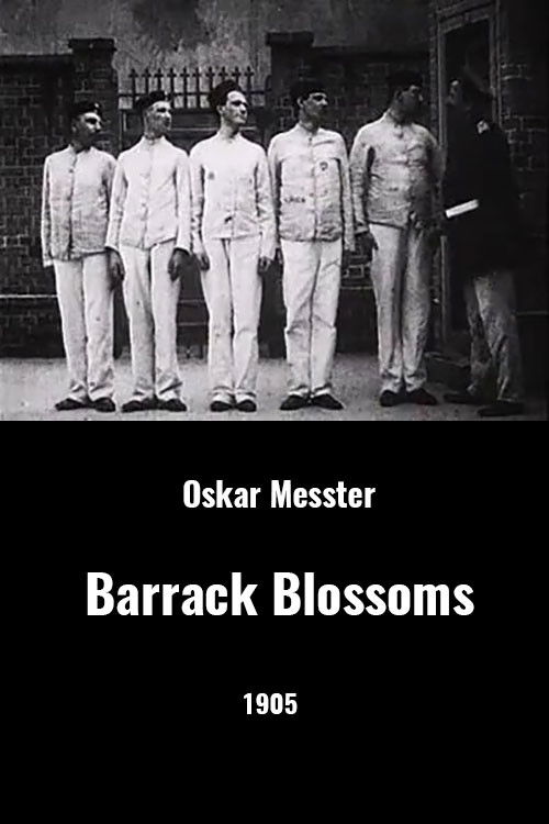 Barrack Blossoms Poster