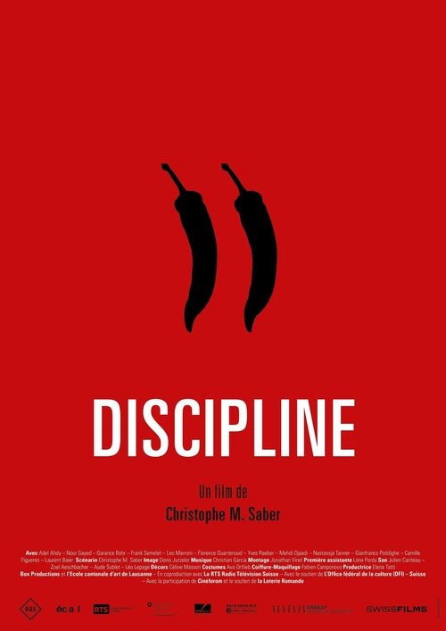 Discipline Poster