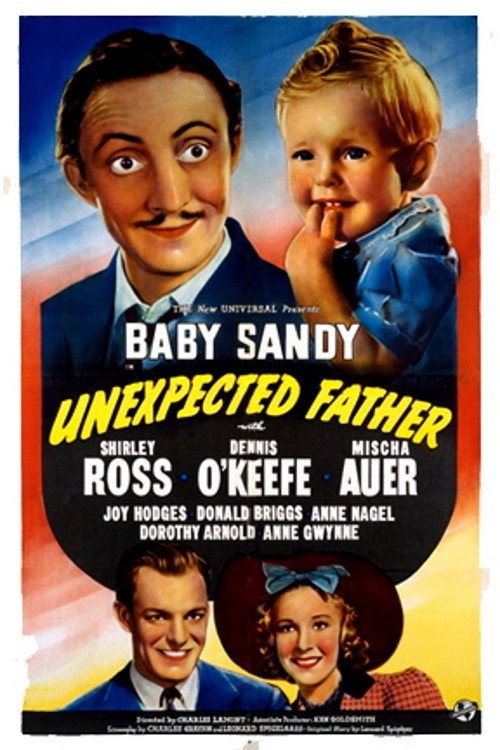 Unexpected Father Poster