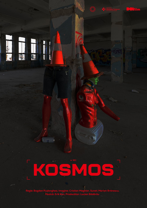Kosmos Poster
