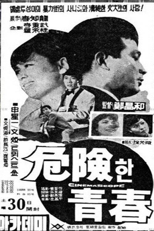 Dangerous Youth Poster