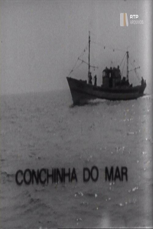Conchinha do Mar Poster