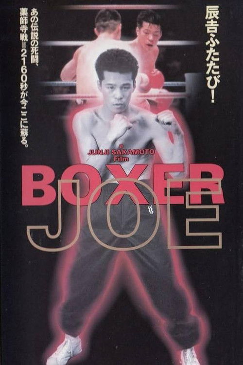 Boxer Joe Poster