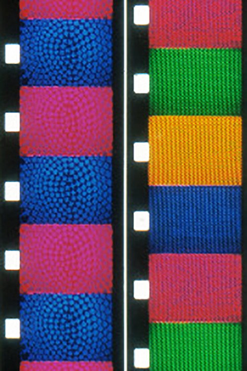 Patterns of Interference Poster