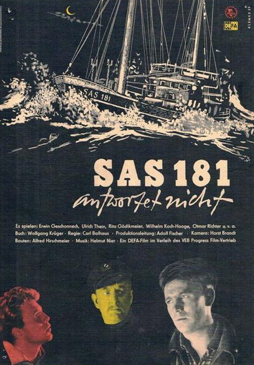 SAS 181 antwortet nicht Poster