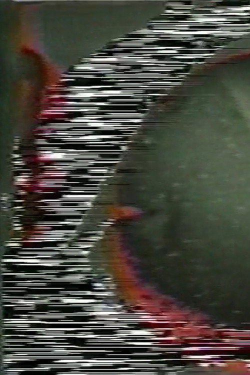 Soundgated Images Poster