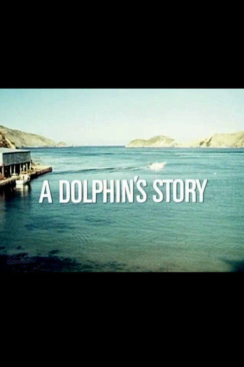 A Dolphin's Story Poster
