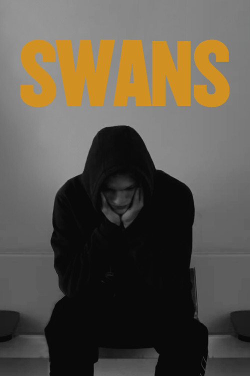 Swans Poster