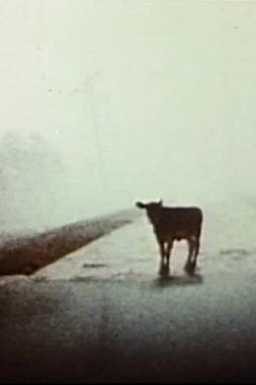 Everywhere at Once Poster