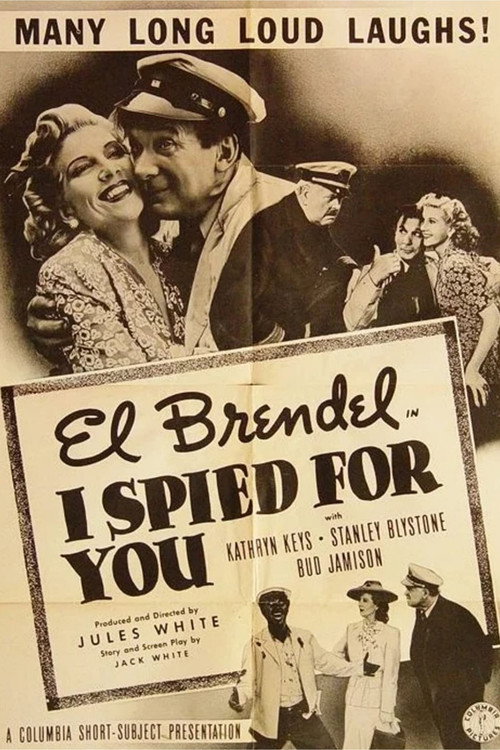 I Spied for You Poster