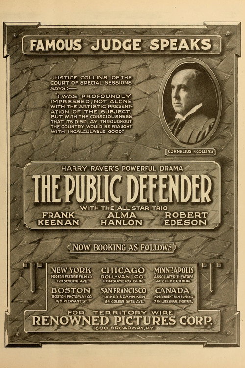 The Public Defender Poster