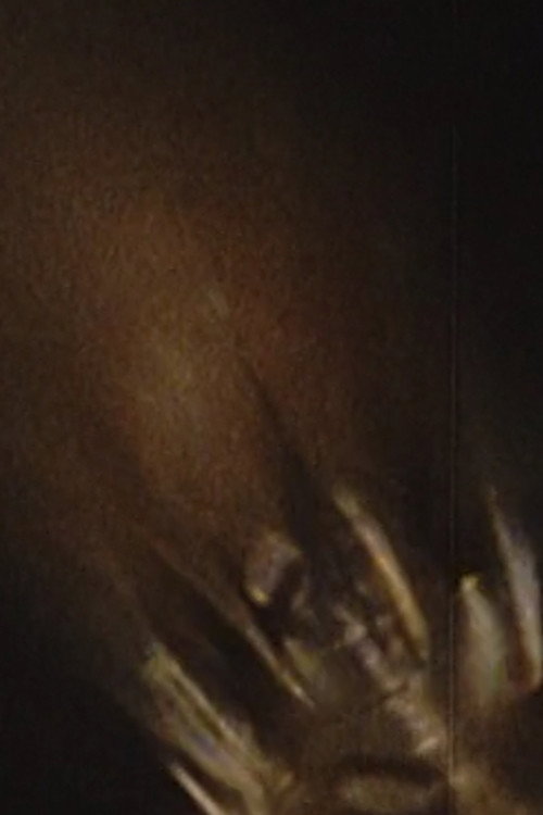 Micromoth Poster