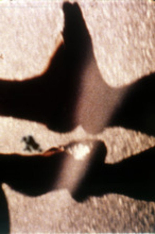 Dancer for the Coronation Poster