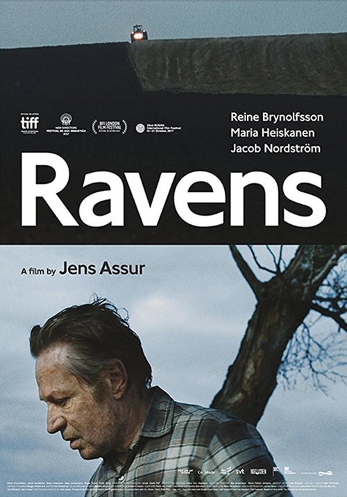 Ravens Poster