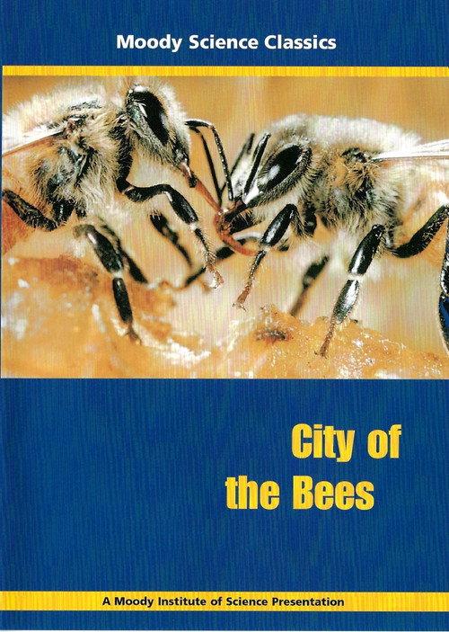 City of the Bees Poster