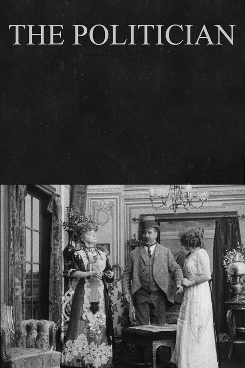 The Politician Poster