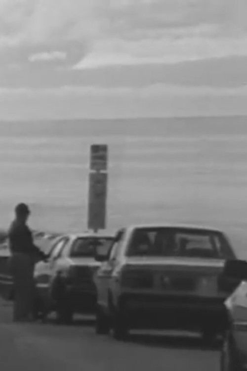 Four or Five Accidents, One June... Poster