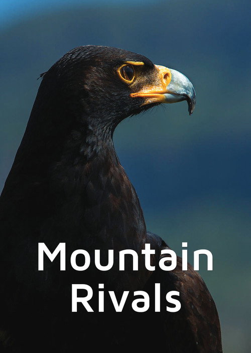 Mountain Rivals Poster