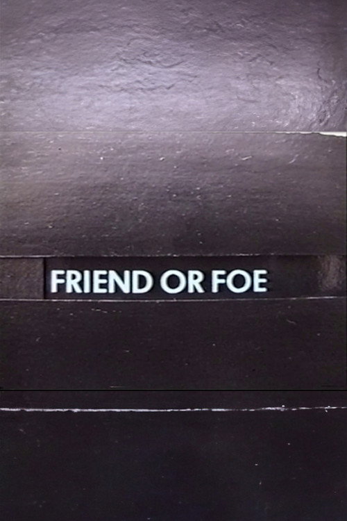Friend or Foe Poster