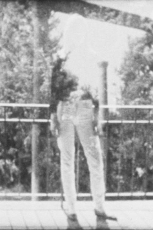 XVII/85 Projektionen Poster