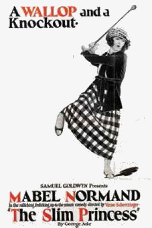 The Slim Princess Poster