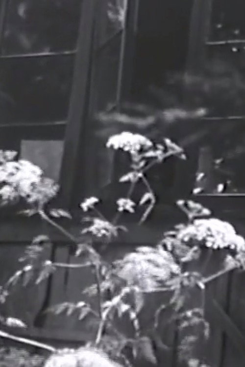 Aberhart's House Poster