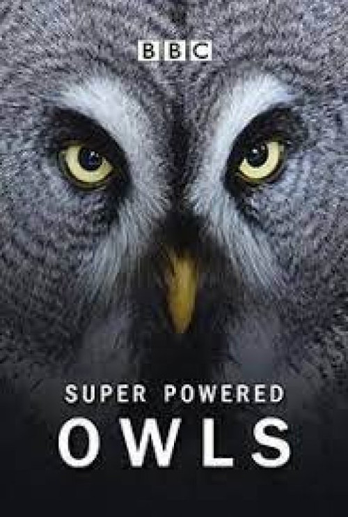 Super Powered Owls Poster