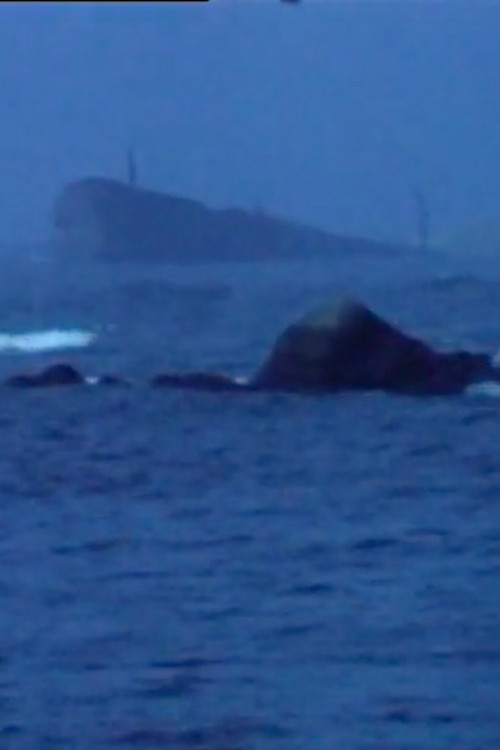 The tide was black Poster