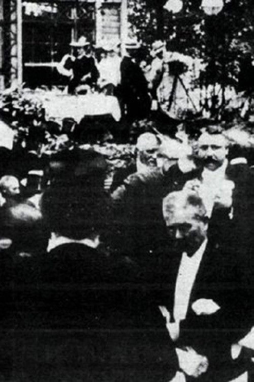 The Icelandic Althing Visits Copenhagen Poster