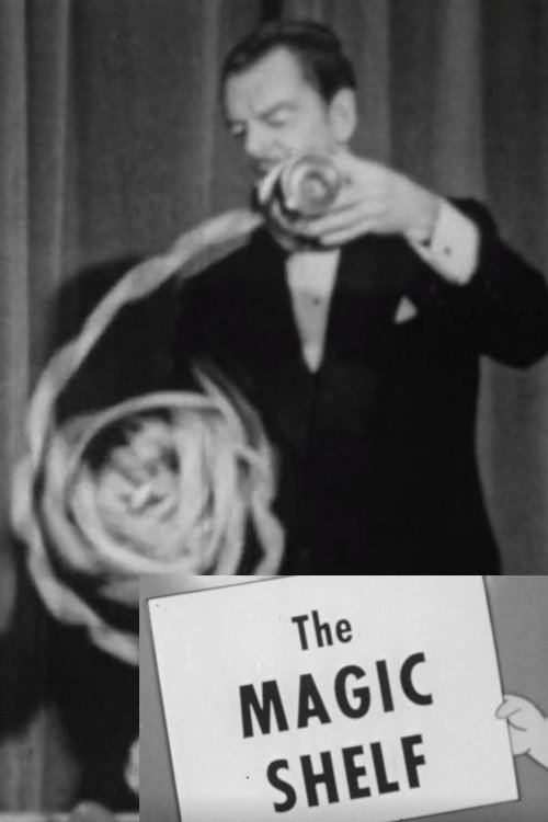 The Magic Shelf Poster