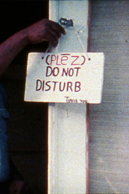 The Shape of Things Poster