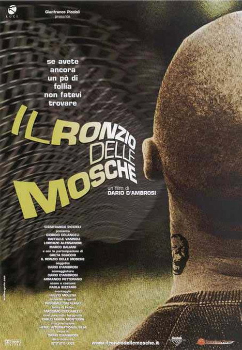 Il ronzio delle mosche Poster