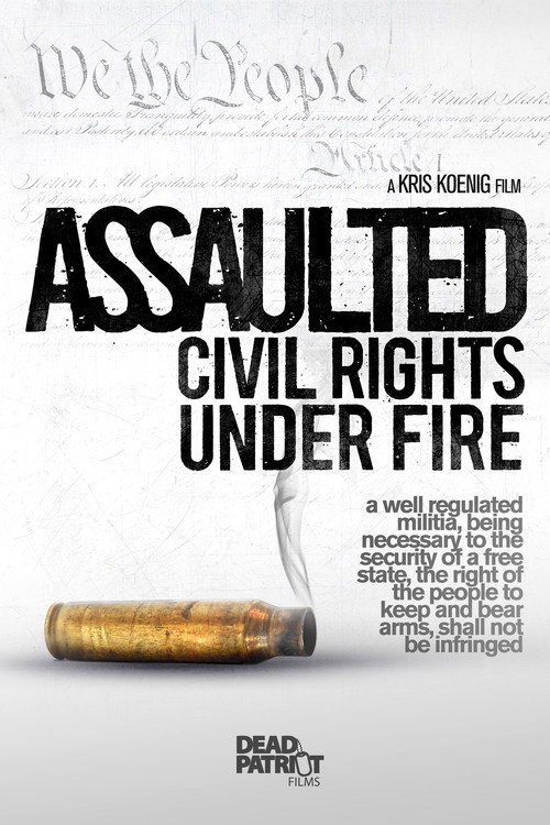 Assaulted: Civil Rights Under Fire Poster