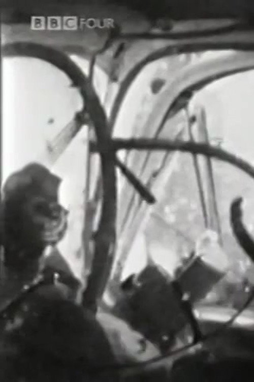 The Atrocity Exhibition (J.G. Ballard And The Motorcar) Poster