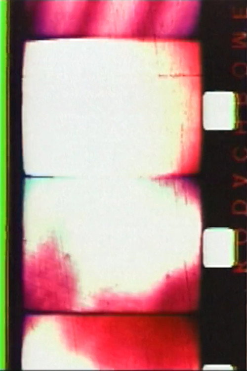 Mi Primer 35mm Poster