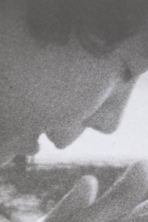 ナンマイダブ Poster