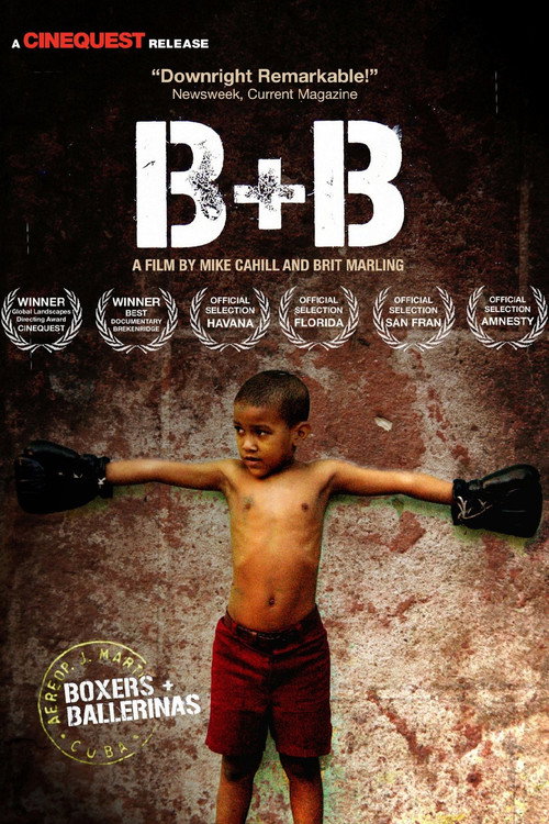 Boxers and Ballerinas Poster