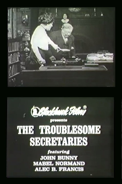 Troublesome Secretaries Poster