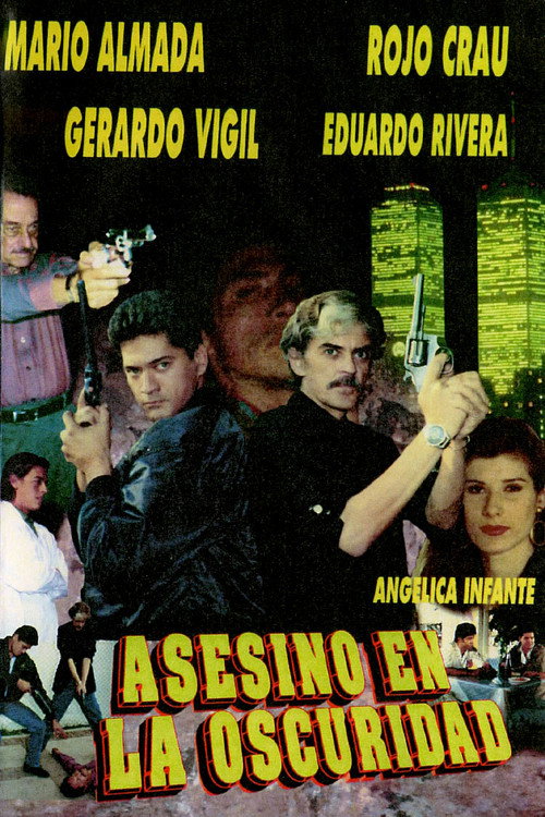 Asesino En La Oscuridad Poster