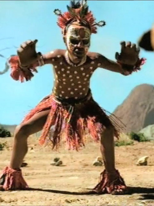 Chunga Chui Leopard Beware Poster