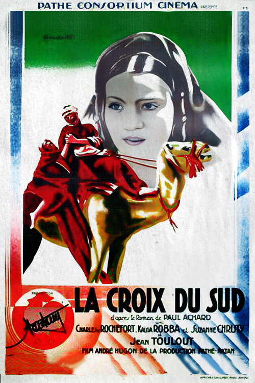 Southern Cross Poster