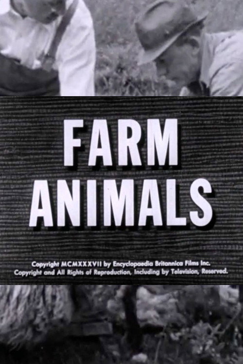 Farm Animals Poster