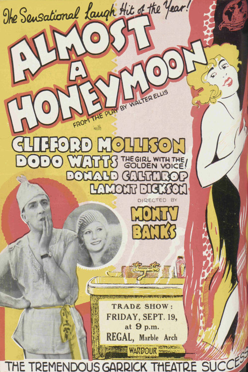 Almost a Honeymoon Poster