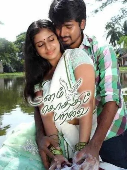 Manam Kothi Paravai Poster