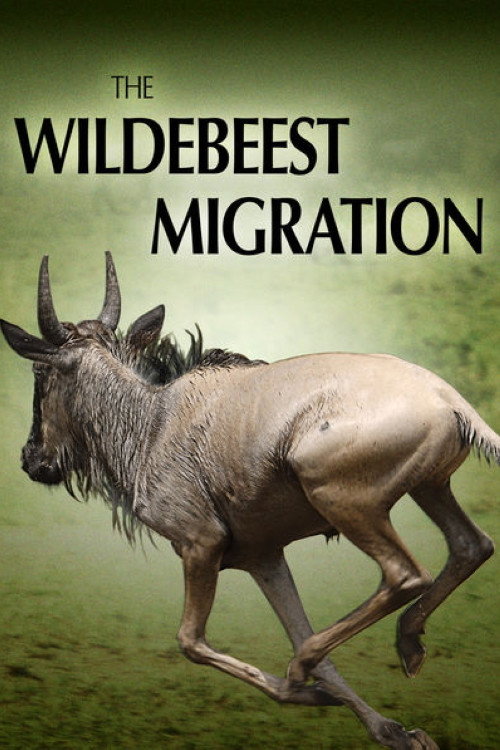 The Wildebeest Migration: Nature's Greatest Journey Poster