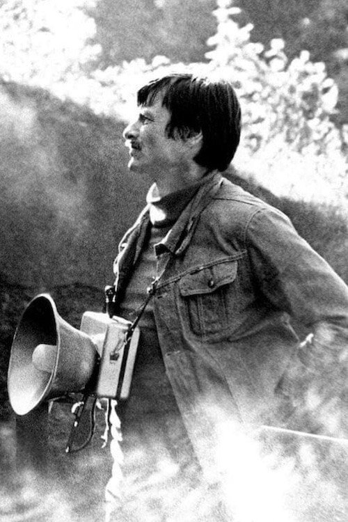 Andrei Tarkovsky's Taiga Summer Poster