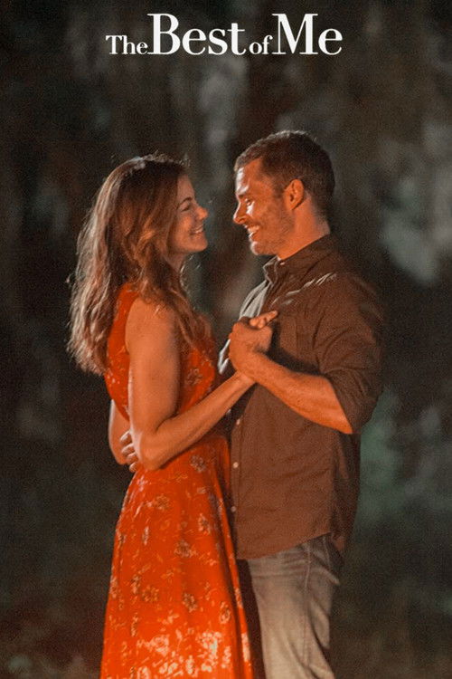 The Best of Me Poster