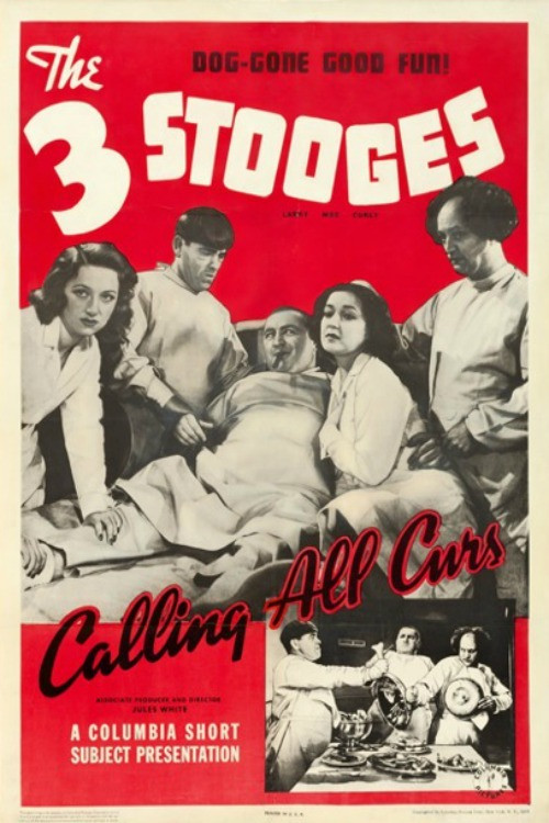 Calling All Curs Poster