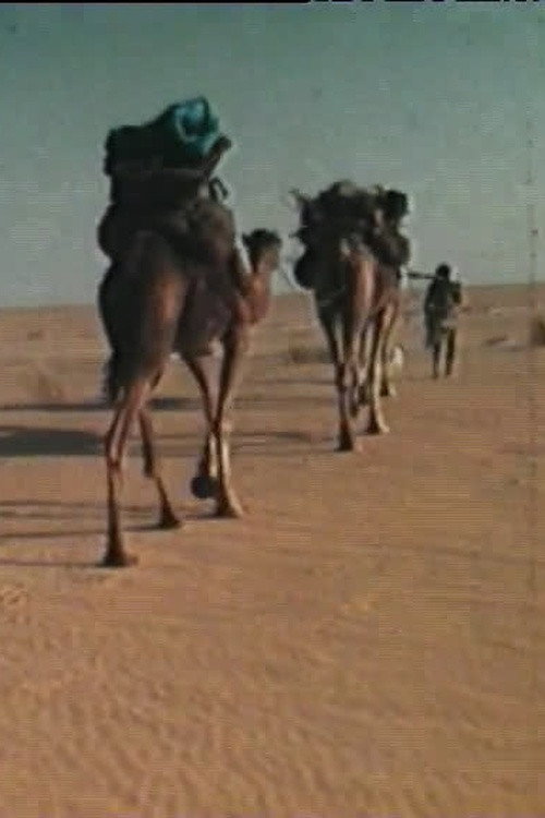 La dernière guémaré des Némadis Poster