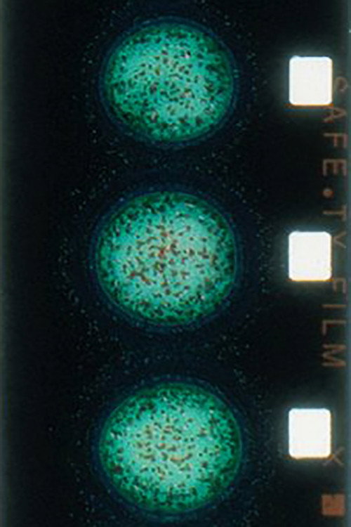 Crystallization Poster